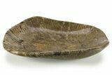 Polished Fossil Coral (Actinocyathus) Dish - Morocco #286811-1